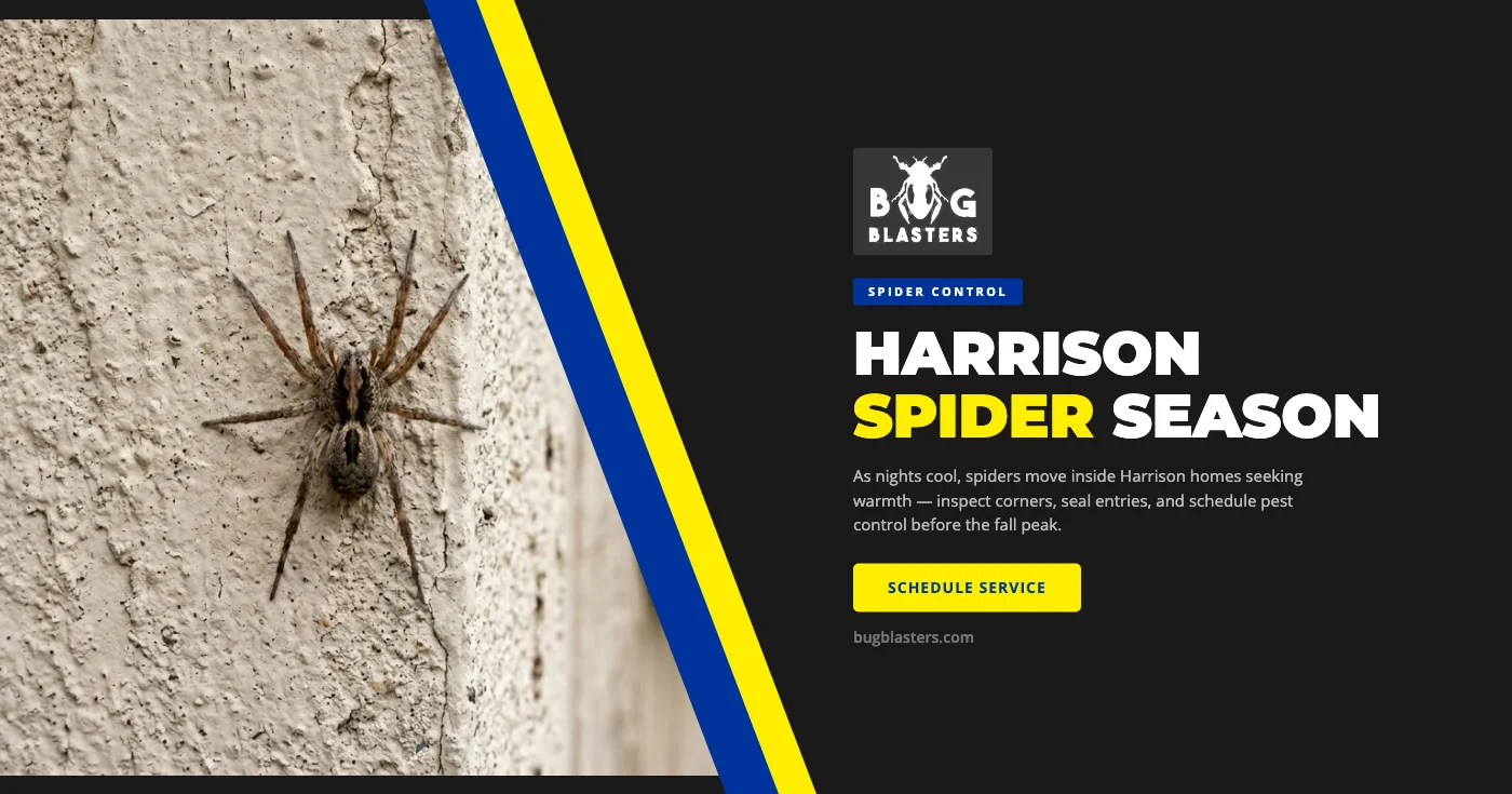 Fall Spider Season in Harrison, ID: Why These Pests Show Up Every September