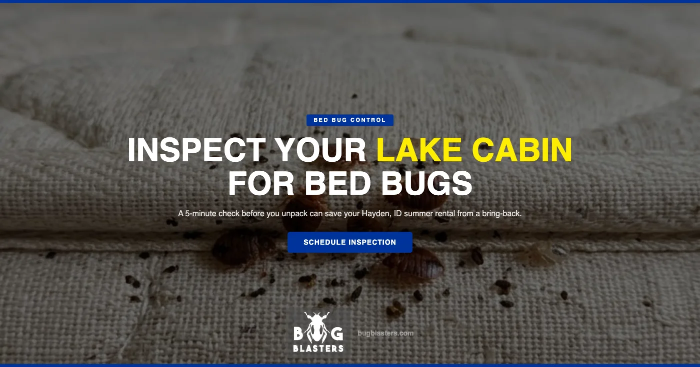 Bed bug close-up on mattress seam in a Hayden ID lake cabin rental - Bug Blasters bed bug inspection
