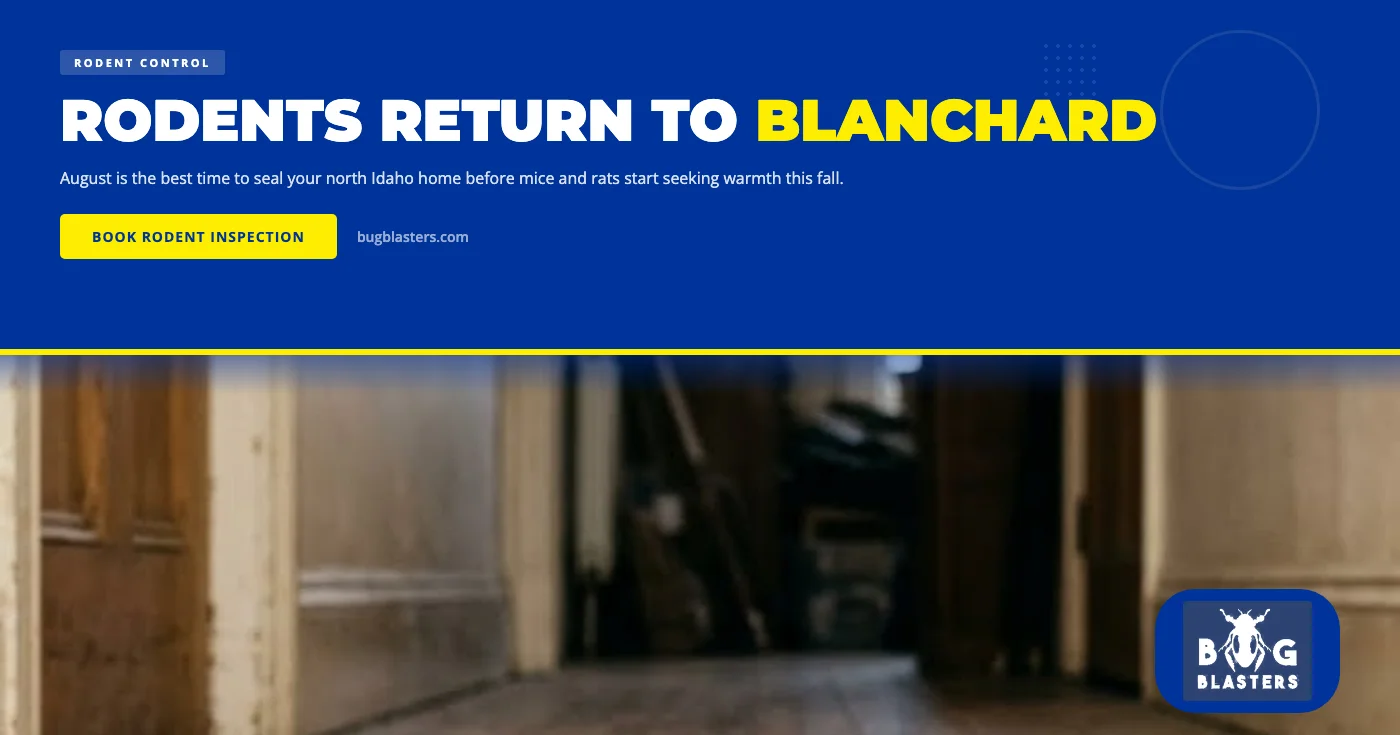 How to Keep Rodents Out of Your Blanchard, ID Home Before Fall