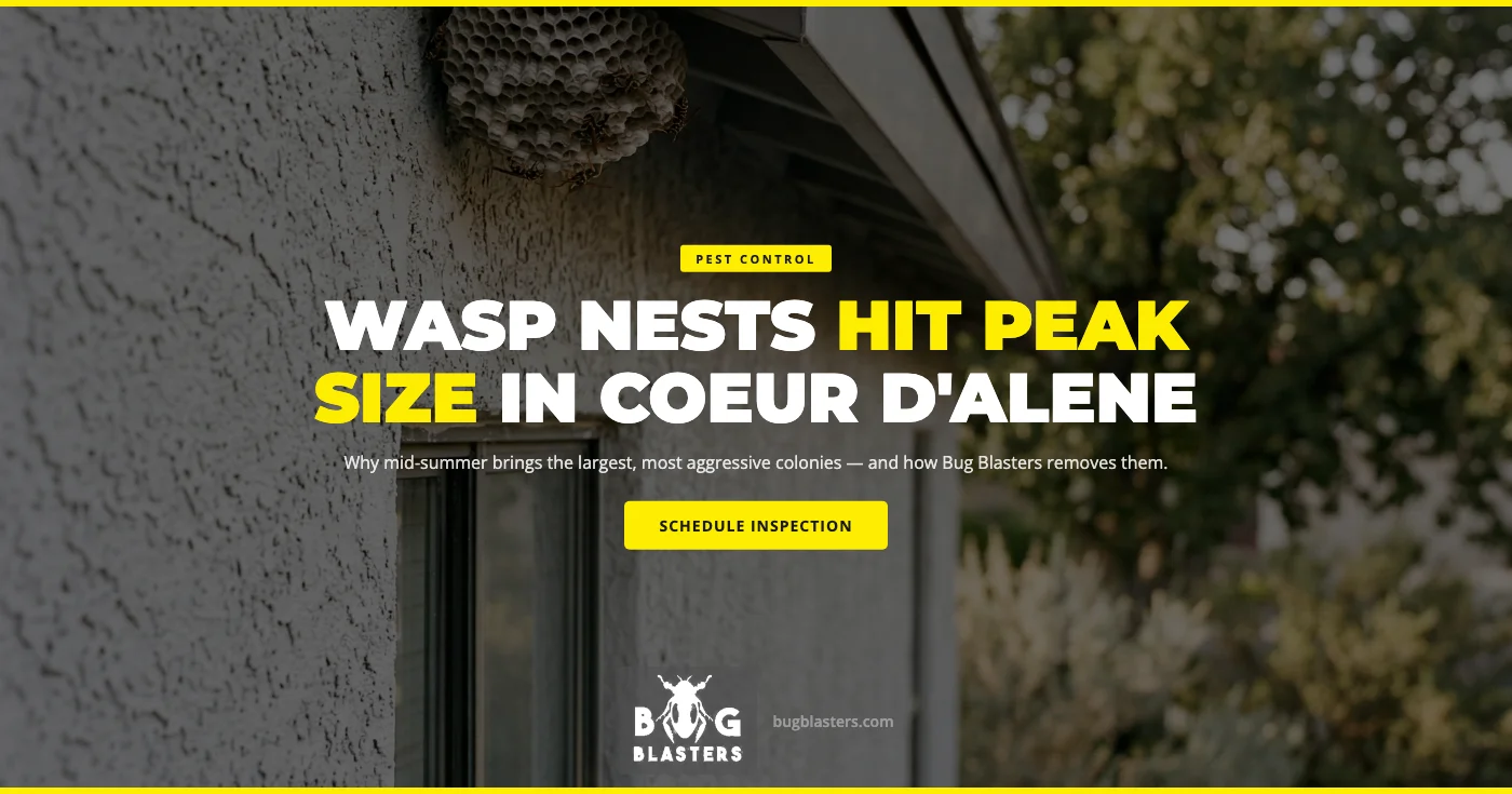 Why Wasp and Yellowjacket Nests Hit Peak Size in Coeur d'Alene, ID This Summer